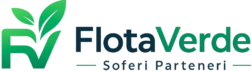 FlotaVerde  Soferi Parteneri Uber  Bolt